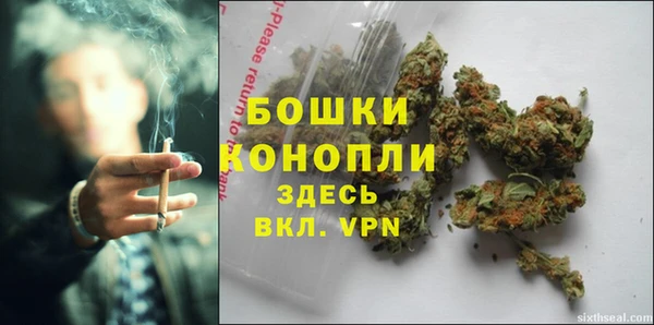 гидра Корсаков