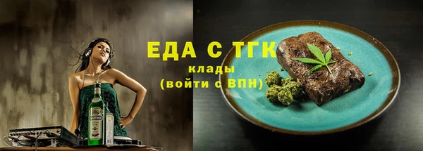 гидра Краснослободск