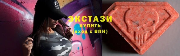 крисы Козельск