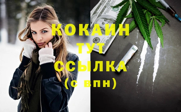 гидра Корсаков