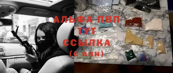 гидра Корсаков