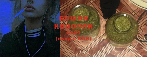 гидра Корсаков