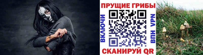 Псилоцибиновые грибы прущие грибы  Шахты 