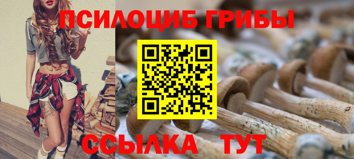 Галлюциногенные грибы Magic Shrooms Шахты