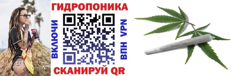 Шишки марихуана планчик  закладка  Шахты 